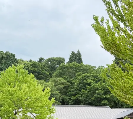 蔦温泉旅館の写真・動画_image_775058