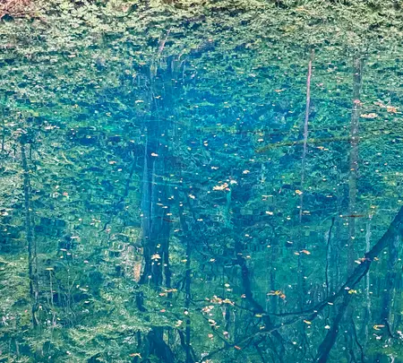 青池の写真・動画_image_775066