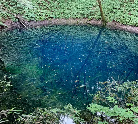 青池の写真・動画_image_775068