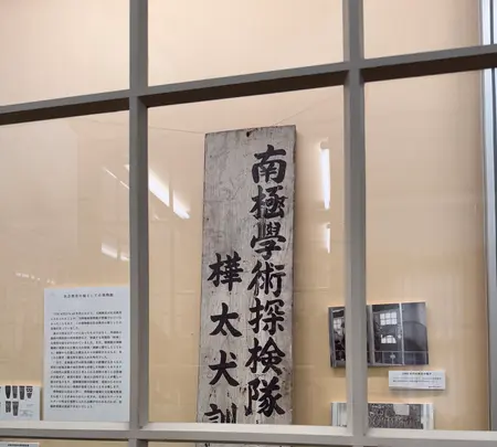 北海道大学植物園の写真・動画_image_775748