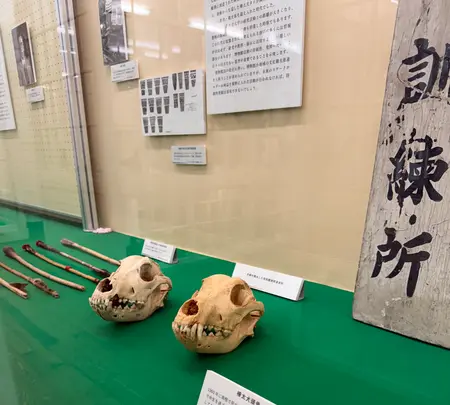 北海道大学植物園の写真・動画_image_775749