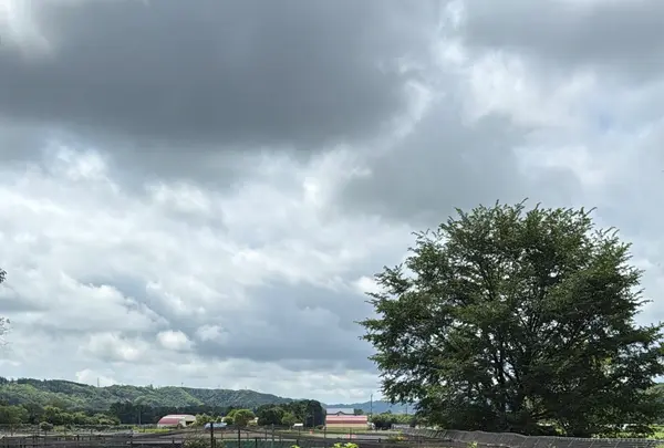 阿寒国際ツルセンター「グルス」の写真・動画_image_775778