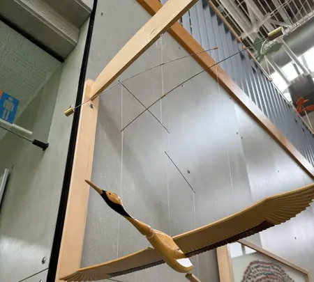 阿寒国際ツルセンター「グルス」の写真・動画_image_775779