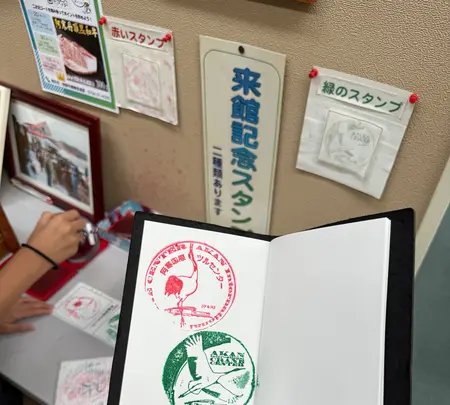 阿寒国際ツルセンター「グルス」の写真・動画_image_775781