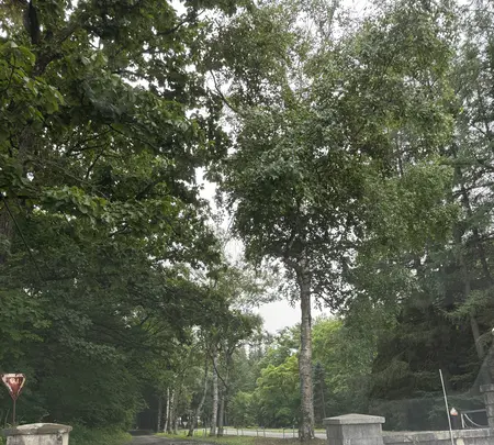 北海道帯広農業高等学校の写真・動画_image_775809