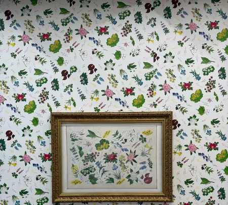 六花の森の写真・動画_image_775819