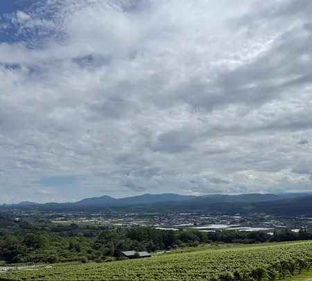 NIKI Hills ワイナリー / ㈱NIKI Hillsファームの写真・動画_image_775830