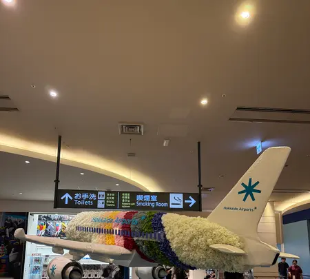 新千歳空港の写真・動画_image_775843