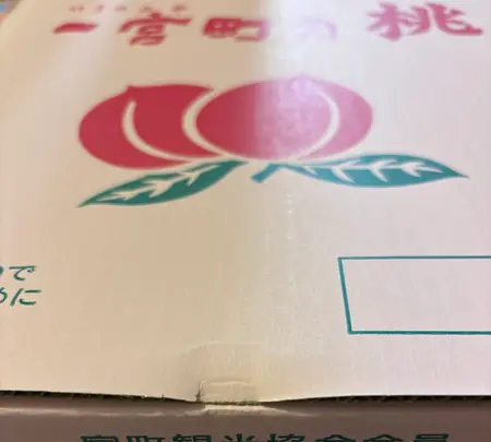 里見農園の写真・動画_image_775947