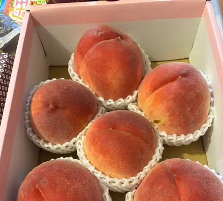 里見農園の写真・動画_image_775948