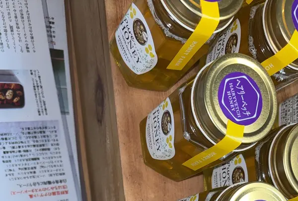 昇仙峡影絵の森美術館の写真・動画_image_775952