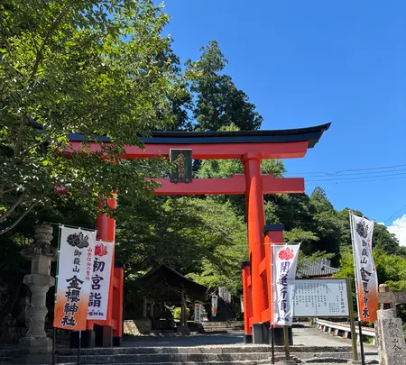 金桜神社の写真・動画_image_775954