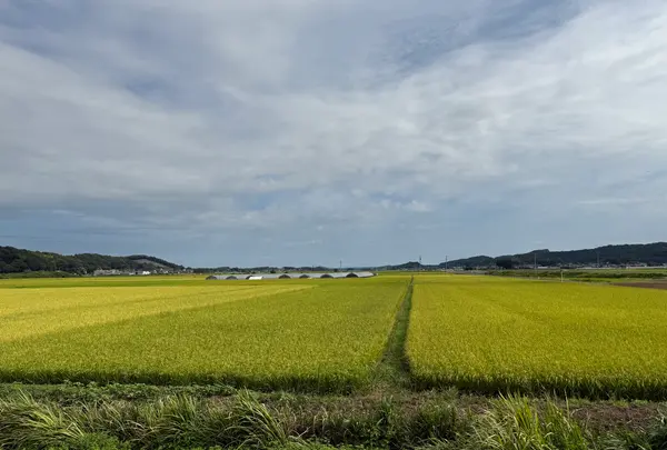 道の駅ましこの写真・動画_image_776083