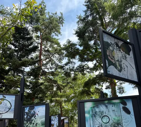 MMoP（モップ）の写真・動画_image_776237