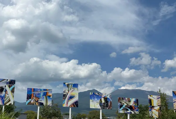 MMoP（モップ）の写真・動画_image_776316