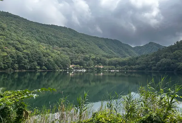 四尾連湖の写真・動画_image_777082