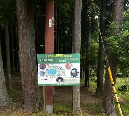 四尾連湖の写真・動画_image_777084