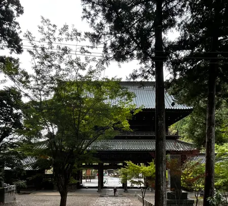 身延山 久遠寺の写真・動画_image_777102