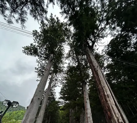 身延山 久遠寺の写真・動画_image_777103