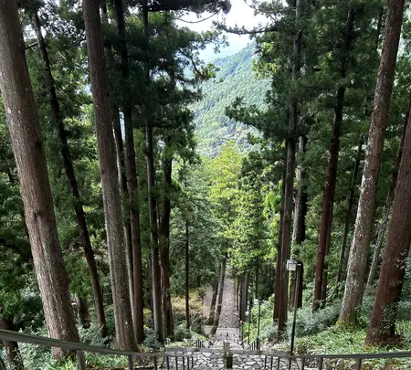 身延山 久遠寺の写真・動画_image_777104