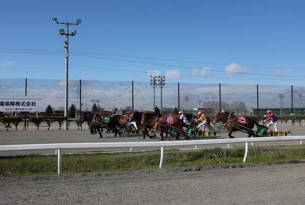 帯広競馬場（ばんえい十勝）の写真・動画_image_77764