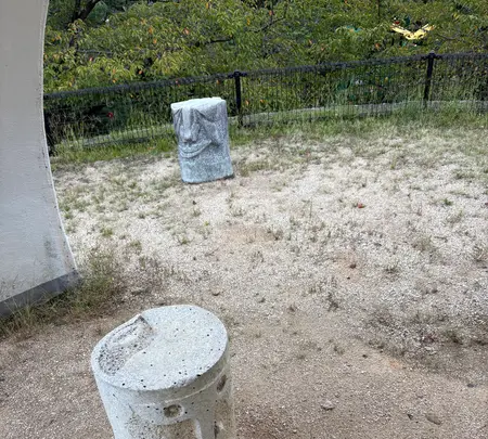 向山公園の写真・動画_image_778007