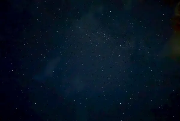 徳澤園の写真・動画_image_780159