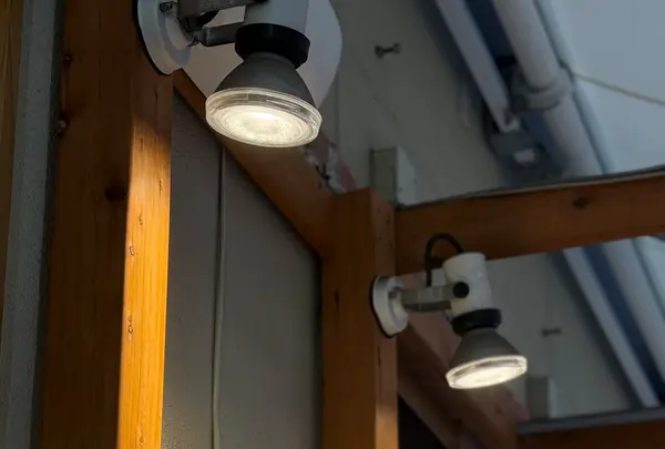 貝・刺身専門店しらはらの写真・動画_image_780945