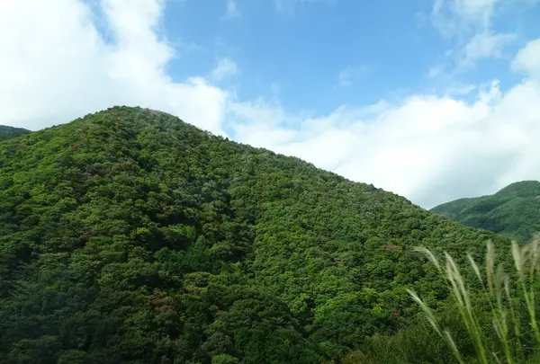朝霧高原の写真・動画_image_782423