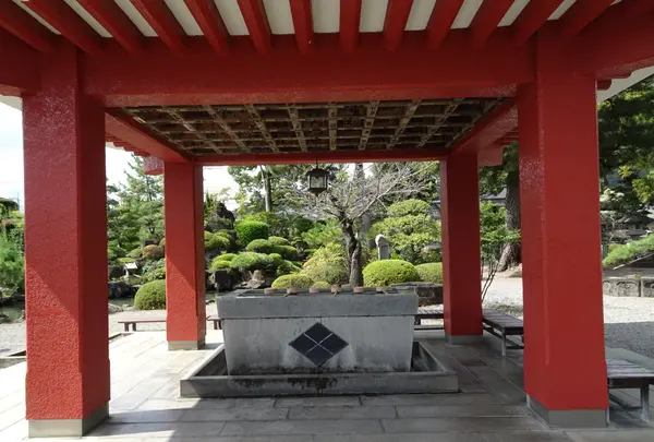 甲斐善光寺の写真・動画_image_782425