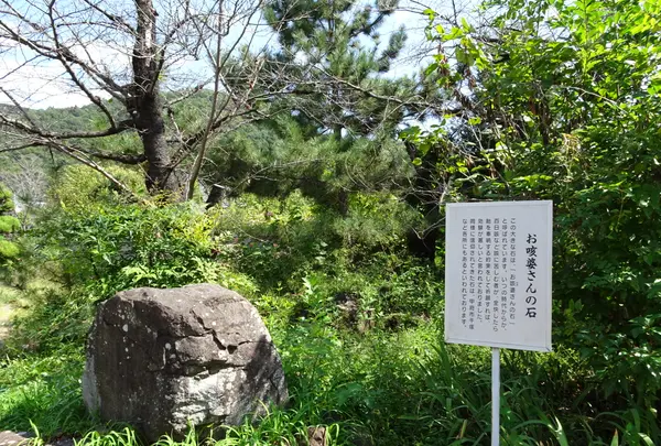 甲斐善光寺の写真・動画_image_782431