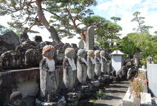 甲斐善光寺の写真・動画_image_782434
