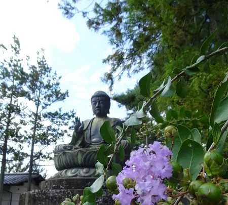 甲斐善光寺 大仏の写真・動画_image_782437