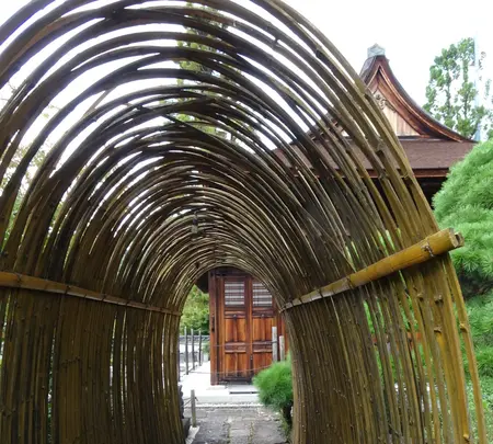 東光寺の写真・動画_image_782446