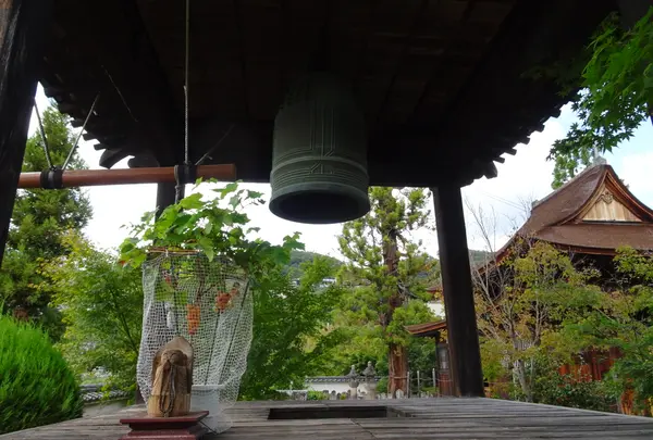 東光寺の写真・動画_image_782448