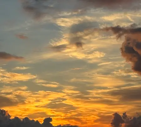 島根県立美術館の写真・動画_image_784267