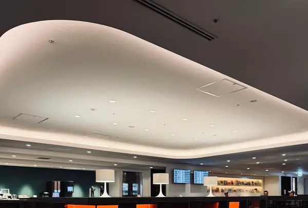 羽田空港（東京国際空港）の写真・動画_image_786477