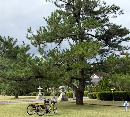 ＹＯＵＳＨＯＰ 南国宮之浦店の写真・動画_image_786486