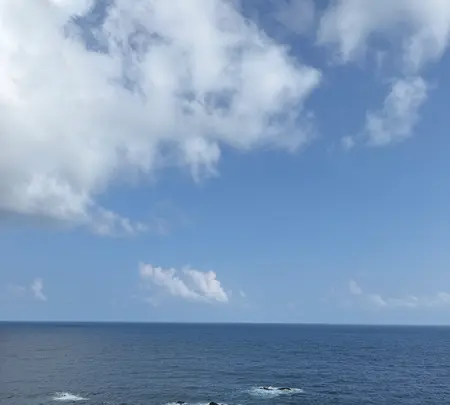 Coffee &Bar SAN.Sの写真・動画_image_786497