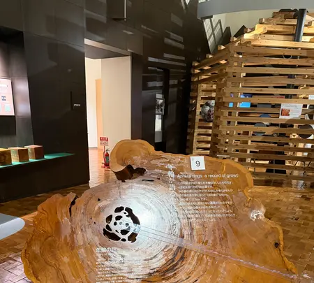 屋久杉自然館の写真・動画_image_786499
