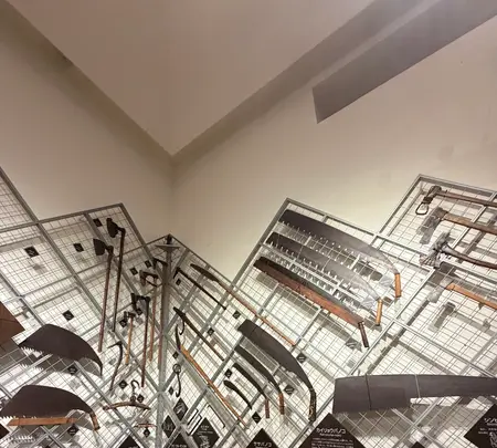 屋久杉自然館の写真・動画_image_786502