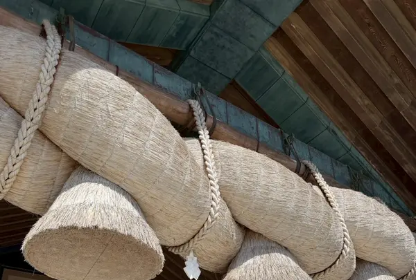 出雲大社の写真・動画_image_787077