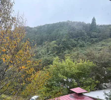 百笑の台所の写真・動画_image_787510