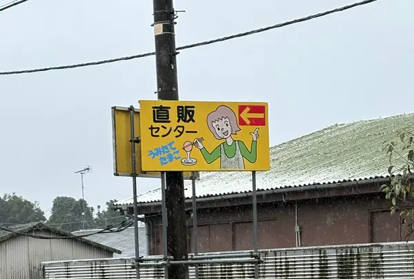 卵菓屋の写真・動画_image_787515