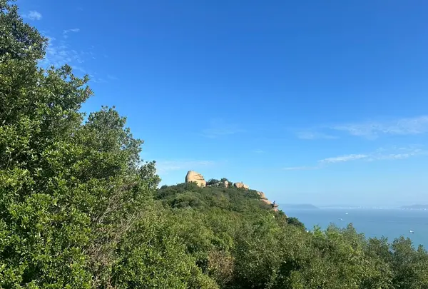 王子が岳の写真・動画_image_787760