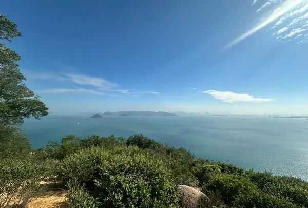 王子が岳の写真・動画_image_787762