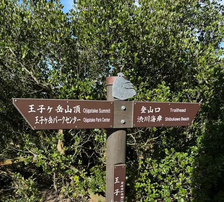 王子が岳の写真・動画_image_787763