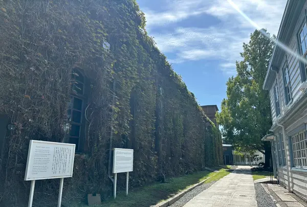 倉敷美観地区の写真・動画_image_787772