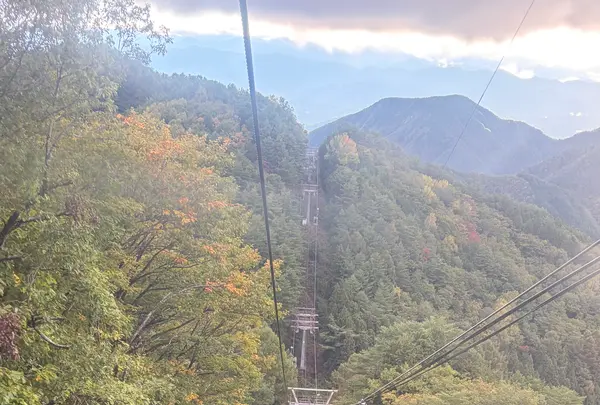 ヘブンスそのはらの写真・動画_image_787894