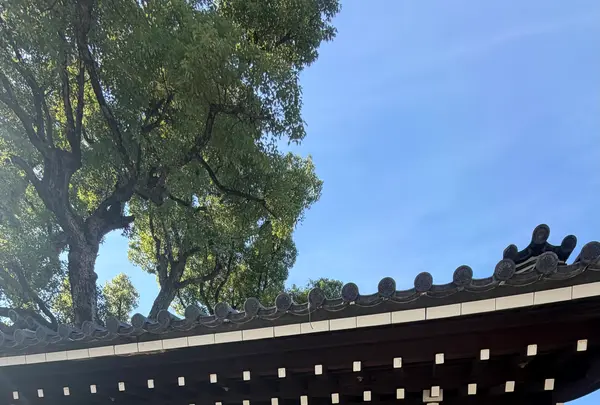 藤田邸跡公園（旧藤田邸庭園）の写真・動画_image_788049